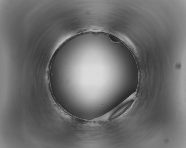 X0000096171190200802011311