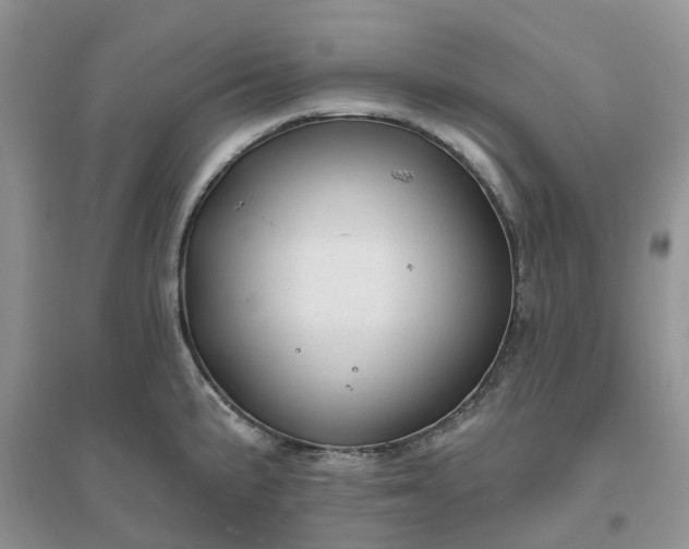 X0000096171191200802011311