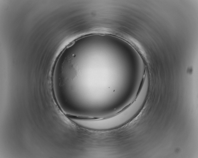 X0000096171192200802011311