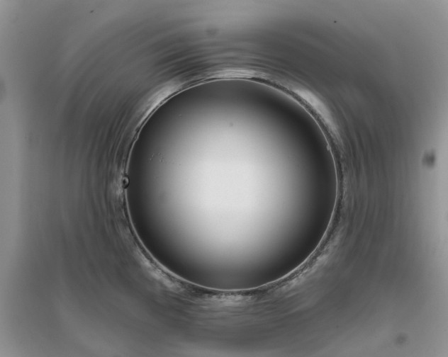 X0000096171193200802011311