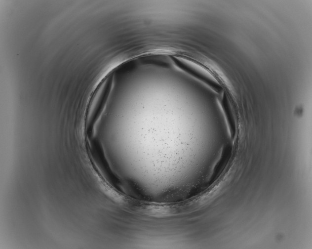 X0000096171194200802011311