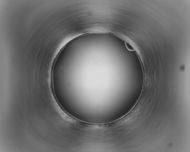 X0000096171195200802011311