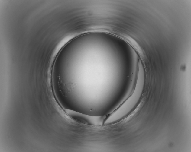 X0000096171196200802011311