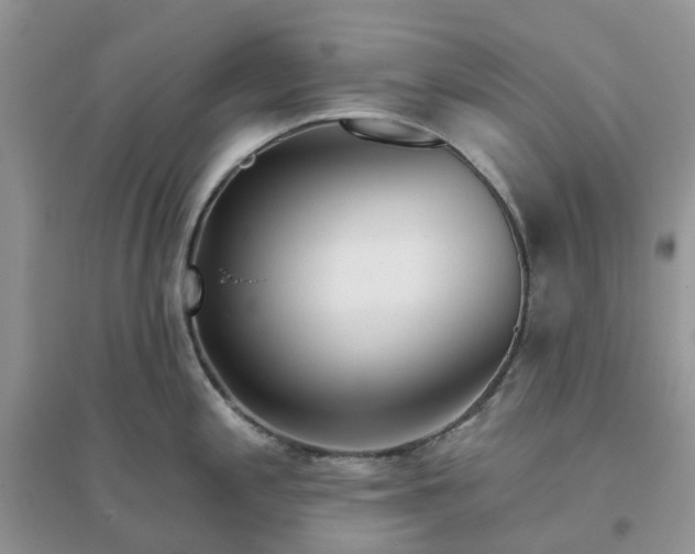 X0000096171197200802011311