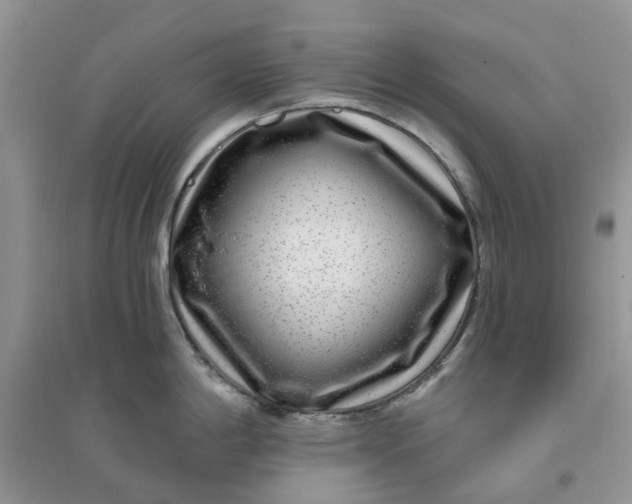 X0000096171198200802011311