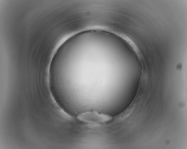 X0000096171199200802011311