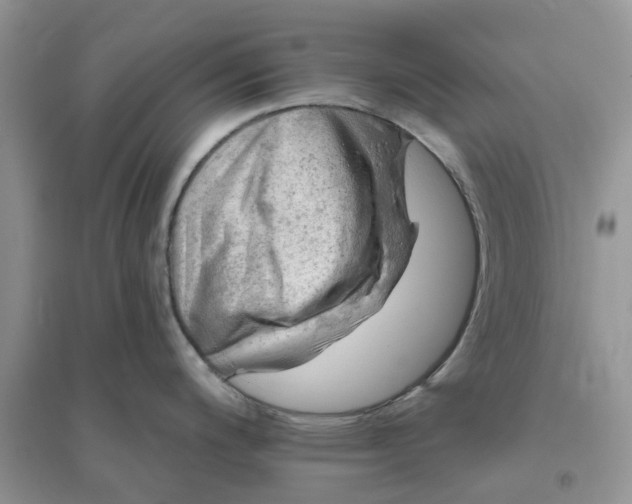 X0000096171200200802011311