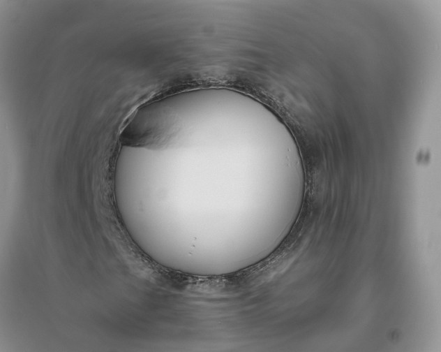 X0000096171201200802011310