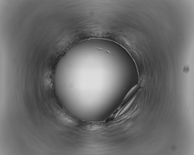 X0000096171202200802011310