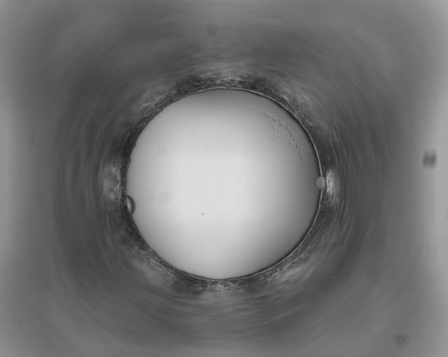 X0000096171203200802011310