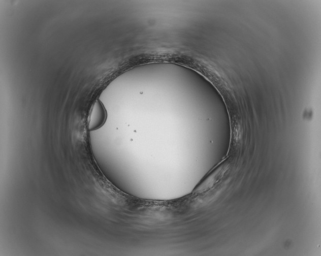 X0000096171204200802011310