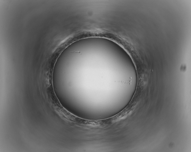 X0000096171205200802011310