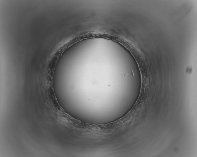 X0000096171207200802011310