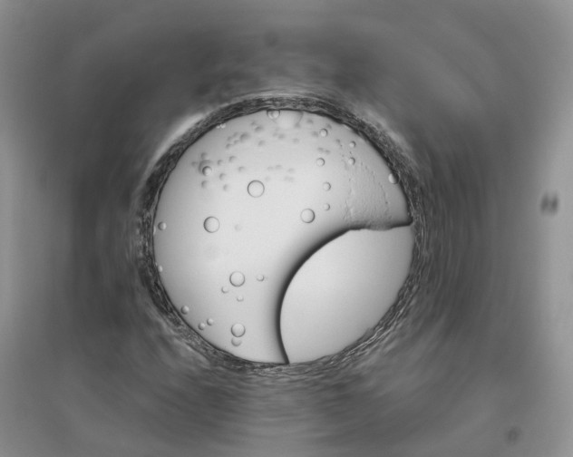 X0000096171208200802011310