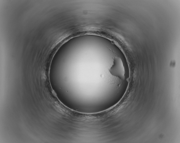 X0000096171209200802011310