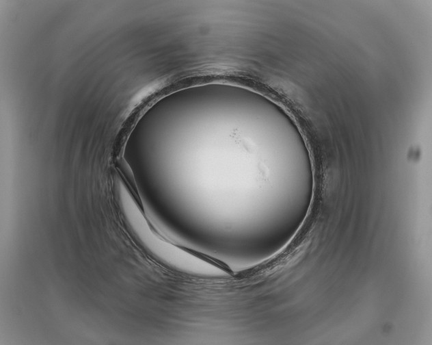 X0000096171210200802011310