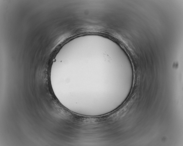 X0000096171211200802011310