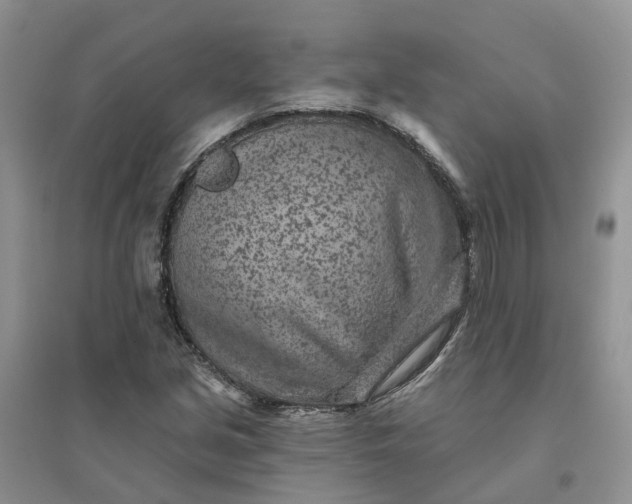 X0000096171213200802011311