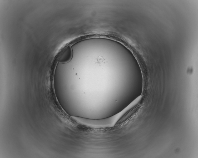 X0000096171214200802011311