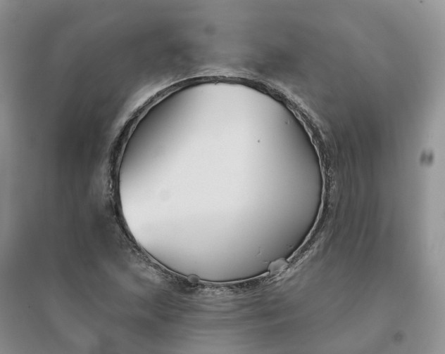 X0000096171215200802011311