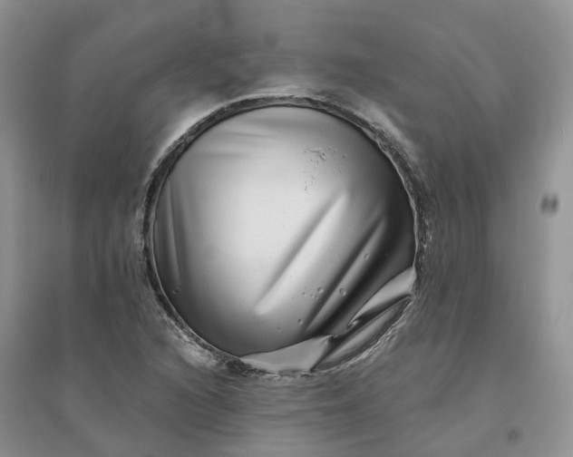 X0000096171216200802011311