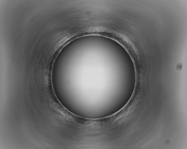 X0000096171217200802011311