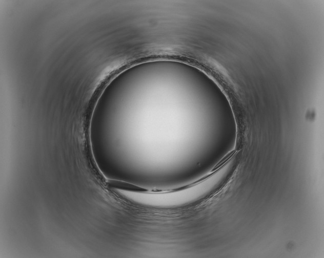 X0000096171218200802011311