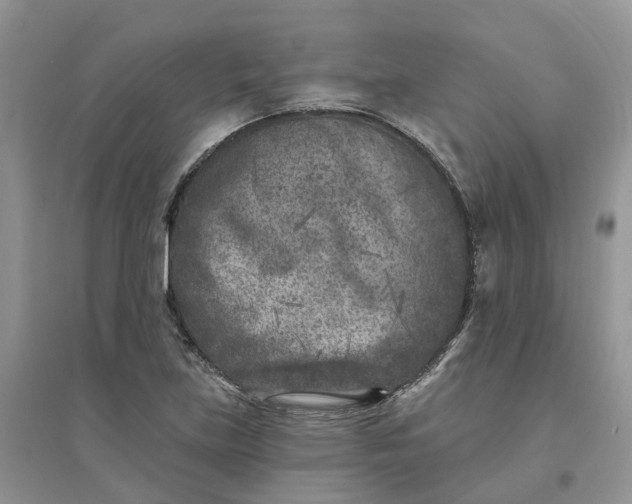 X0000096171219200802011311