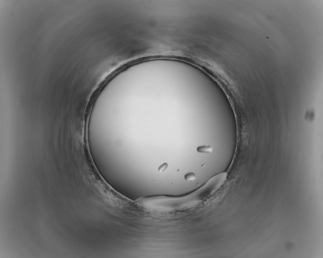 X0000096171220200802011311