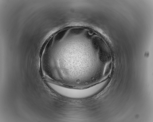 X0000096171221200802011311