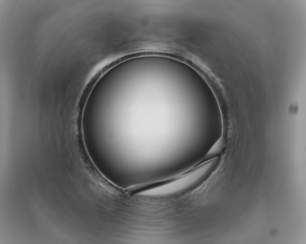 X0000096171222200802011311