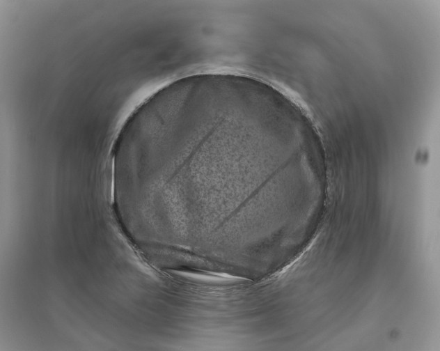 X0000096171223200802011311