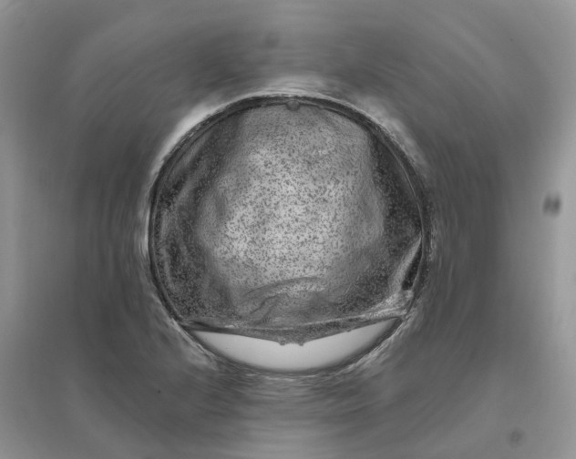 X0000096171224200802011311