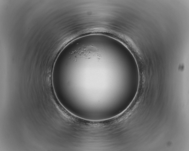 X0000096171225200802011311