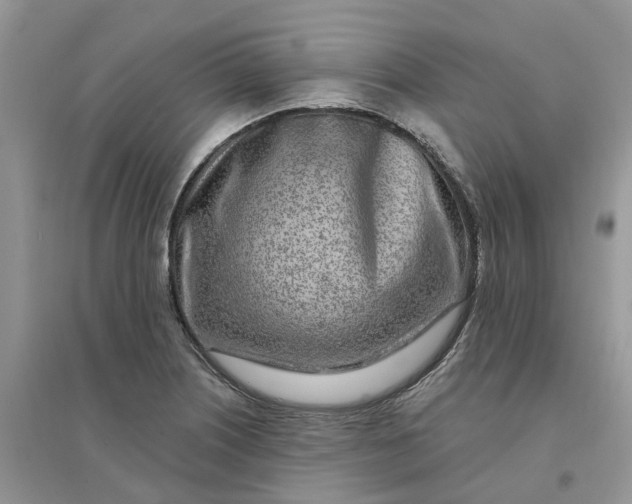 X0000096171226200802011311