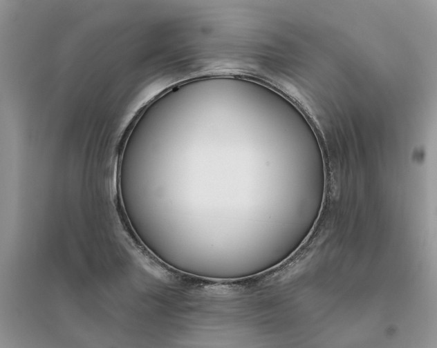 X0000096171227200802011311