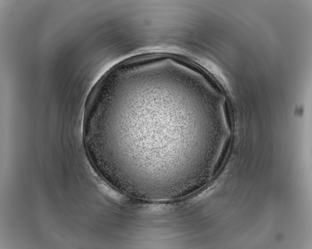 X0000096171228200802011311