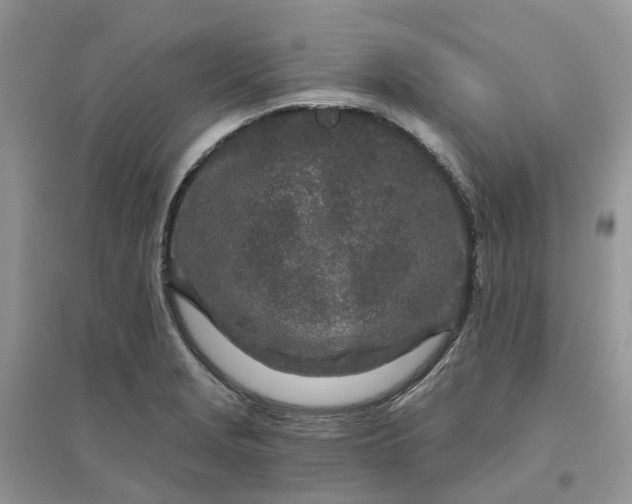 X0000096171229200802011311