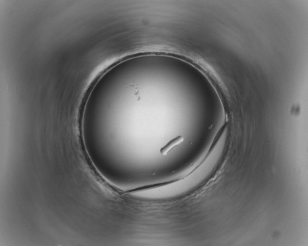 X0000096171230200802011311