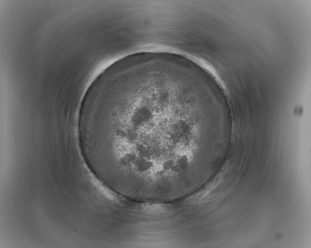 X0000096171231200802011311