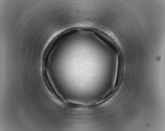 X0000096171232200802011311