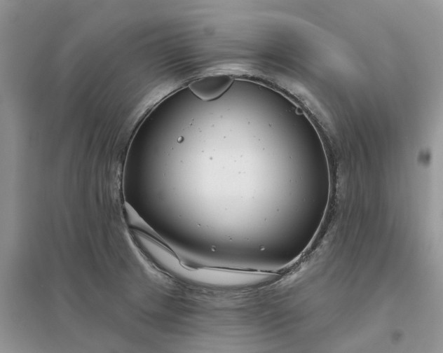 X0000096171233200802011311