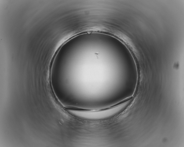 X0000096171234200802011311