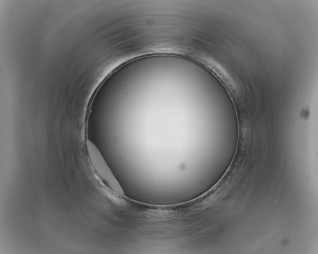 X0000096171236200802011311