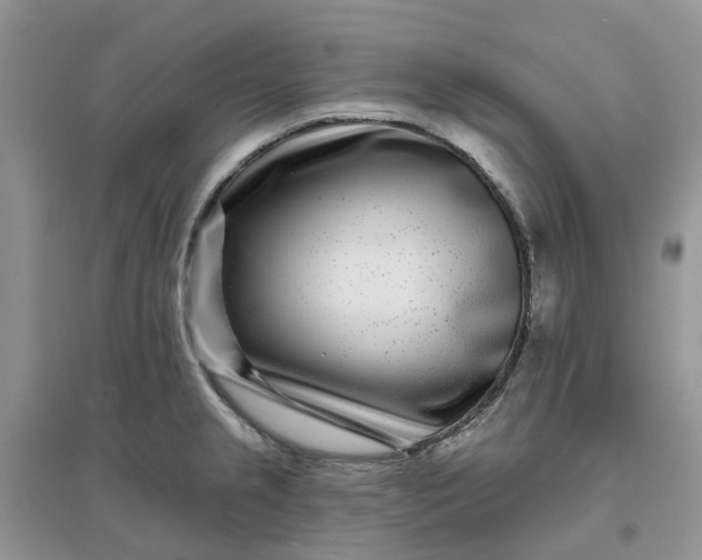 X0000096171237200802011311