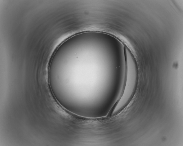 X0000096171238200802011311