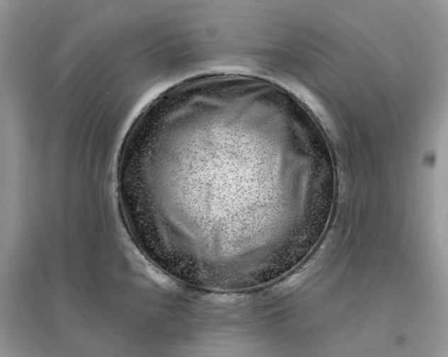 X0000096171240200802011311