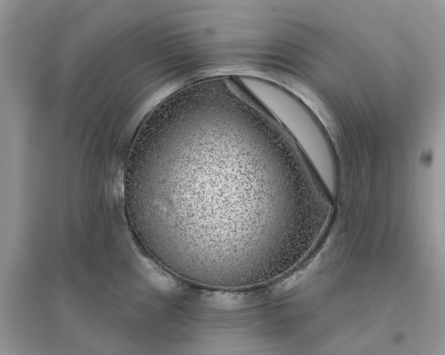 X0000096171241200802011311