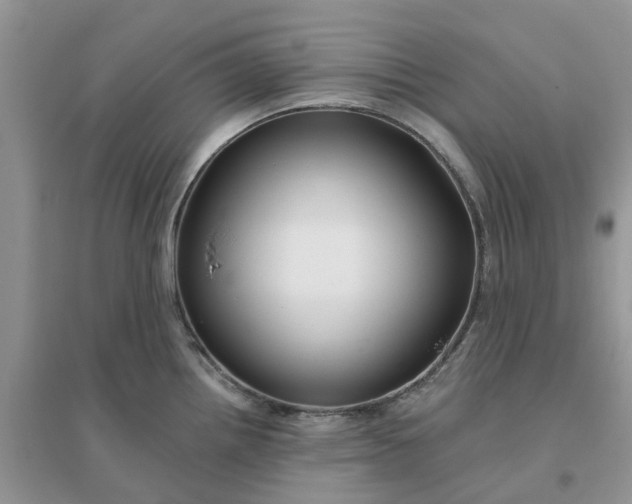 X0000096171242200802011311