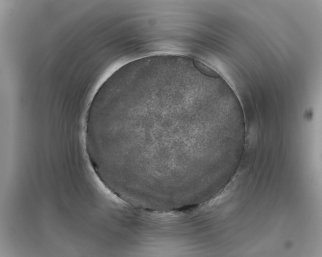 X0000096171243200802011311